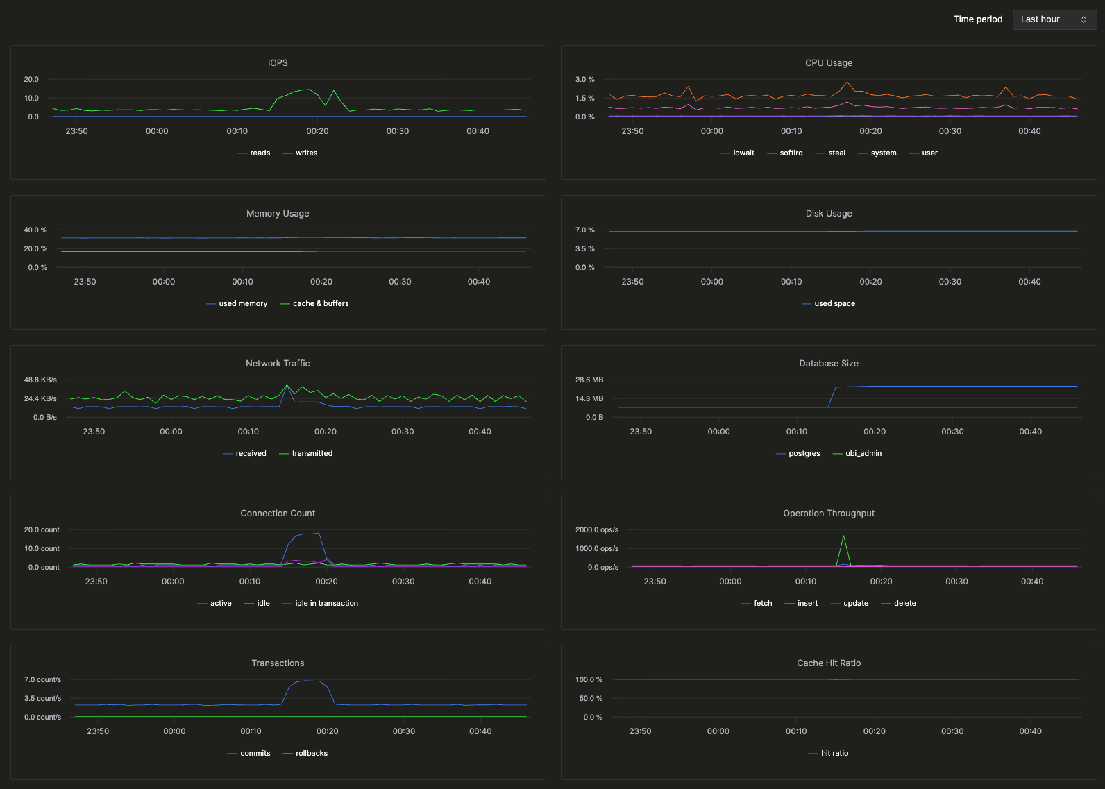 Monitoring dashboard showing IOPS, CPU usage, memory, disk, network traffic, database size, connections, throughput, transactions, cache hit ratio, and deadlocks